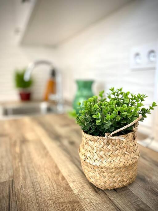 Apartmán Mychoice Carmen Rota Exteriér fotografie